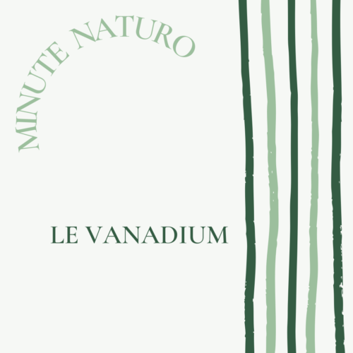 Le Vanadium peu connu et pourtant essentiel.