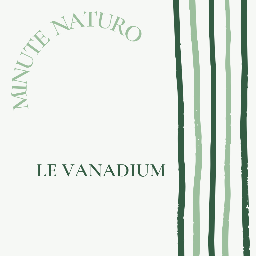 You are currently viewing Le Vanadium peu connu et pourtant essentiel.