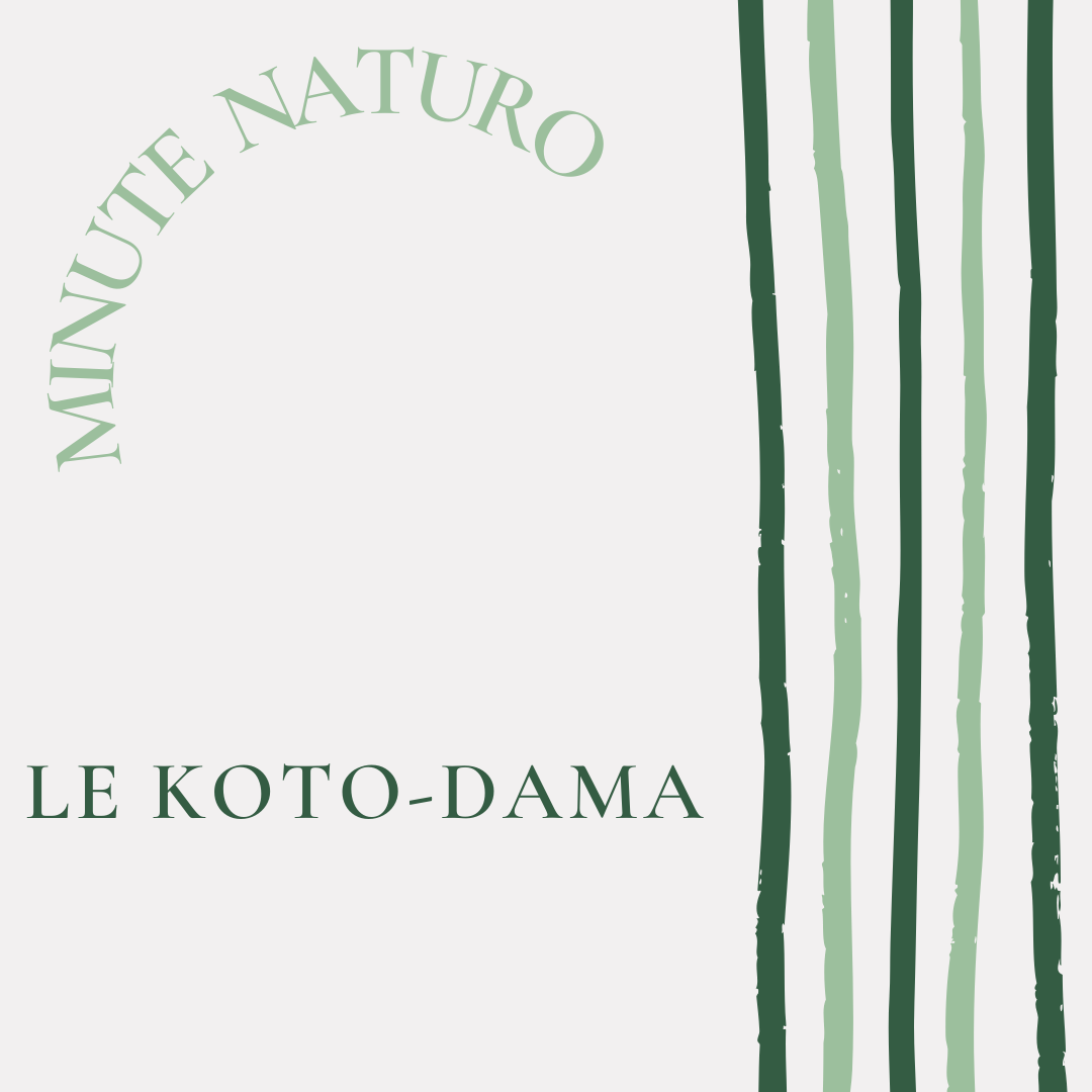 You are currently viewing Le koto-Dama, ou l’esprit des sons.